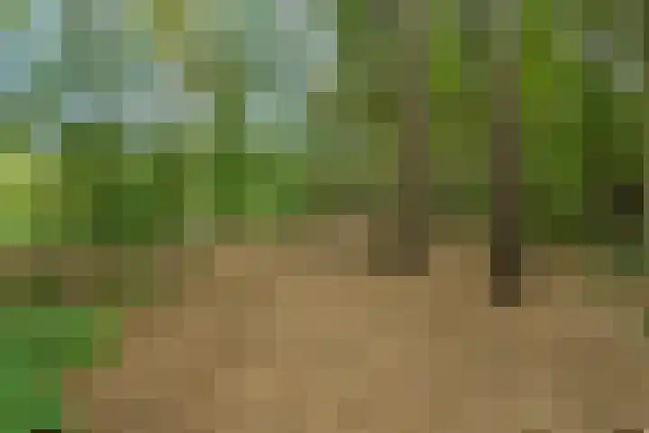 Jagerspad 12 Oss thumbnail 53