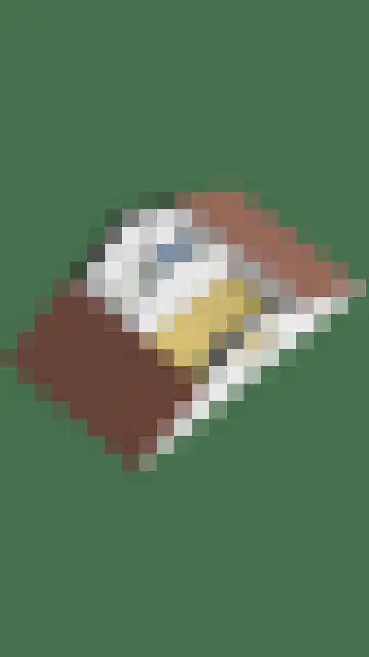 Jagerspad 12 Oss thumbnail 60