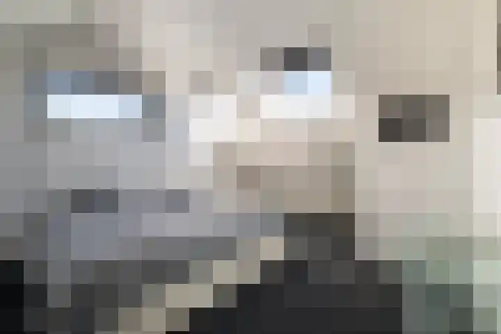 Jagerspad 13 Landgraaf thumbnail 17