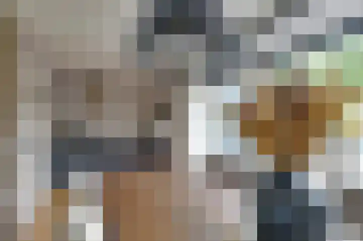 Jagerspad 38 Smilde thumbnail 11