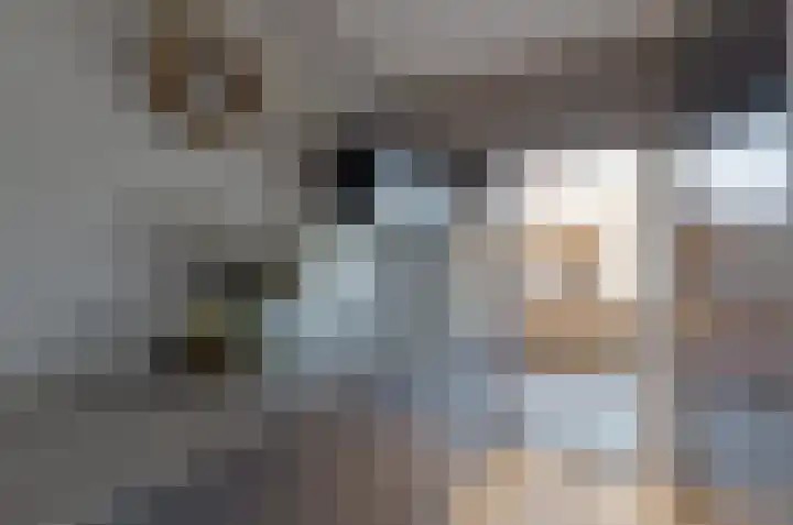 Jagerspad 38 Smilde thumbnail 13