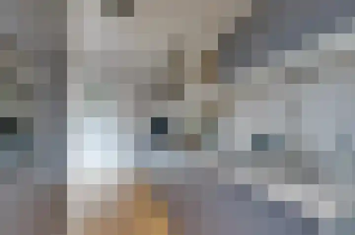 Jagerspad 38 Smilde thumbnail 14