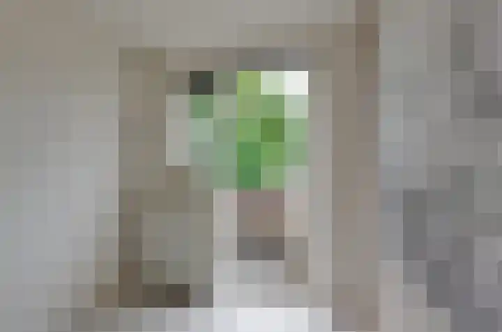 Jagerspad 38 Smilde thumbnail 25