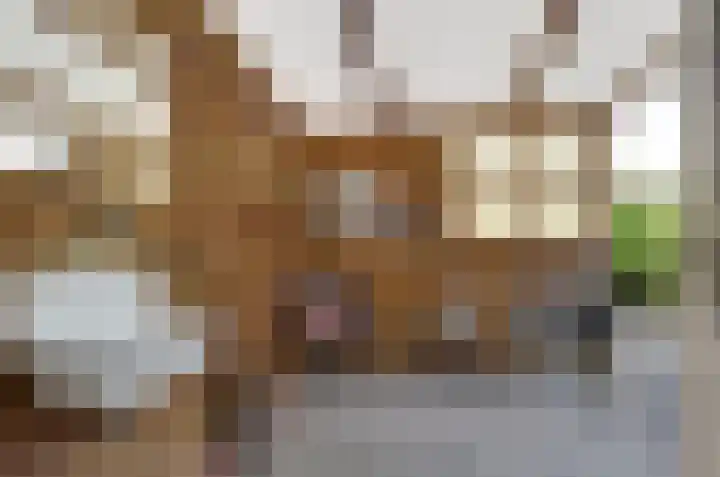 Jagerspad 38 Smilde thumbnail 30