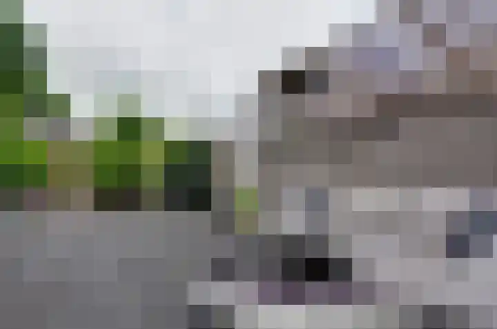 Jagerspad 38 Smilde thumbnail 34