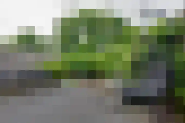 Jagerspad 38 Smilde thumbnail 35