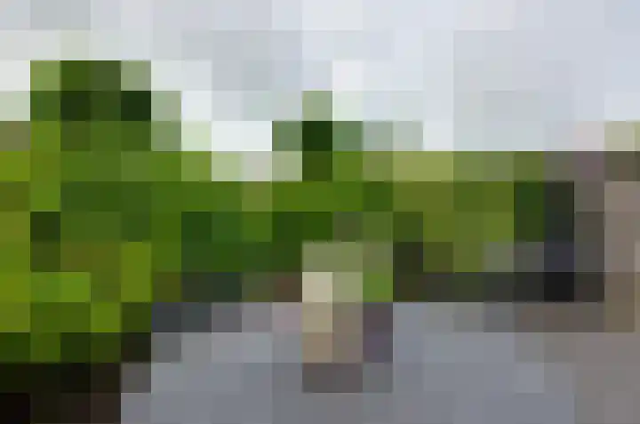 Jagerspad 38 Smilde thumbnail 37