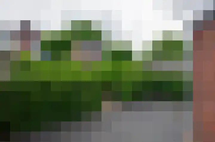 Jagerspad 38 Smilde thumbnail 39
