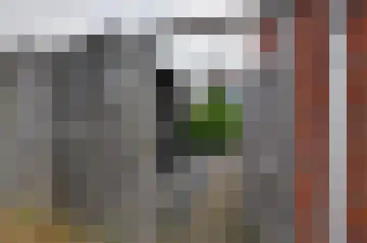 Jagerspad 38 Smilde thumbnail 41