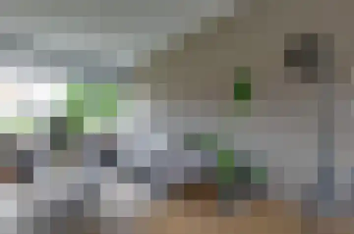 Jagerspad 38 Smilde thumbnail 7