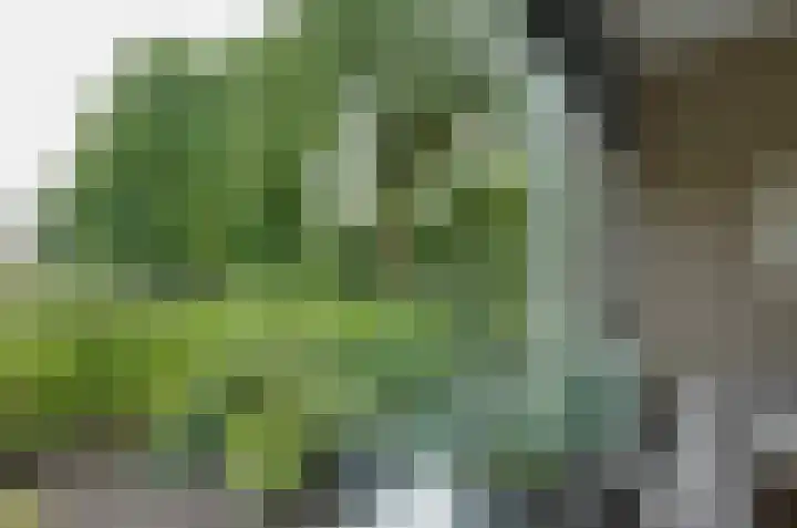 Jagerspad 38 Smilde thumbnail 8