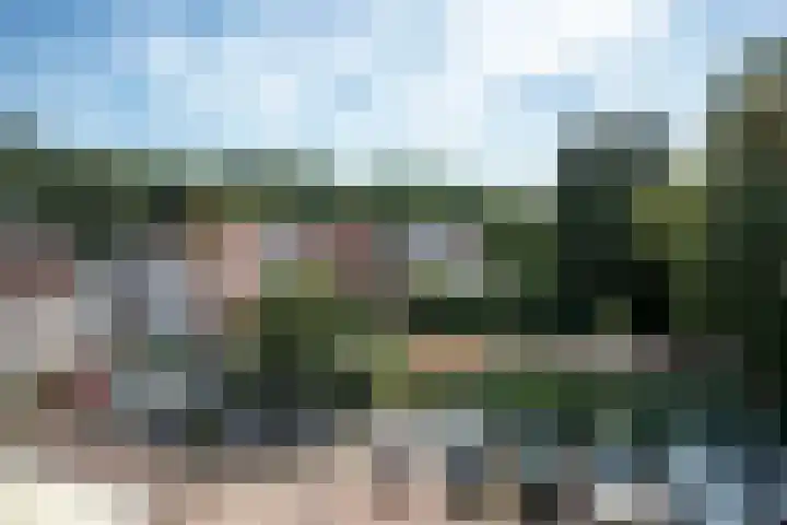 Jagerspad 4 B Oosterbeek thumbnail 33