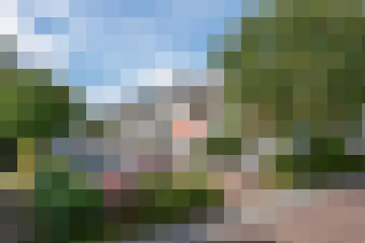 Jagerspad 4 B Oosterbeek thumbnail 44