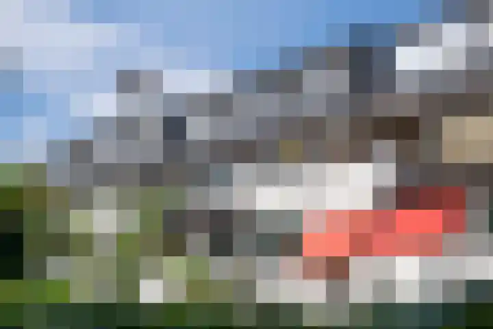 Jagerspad 4 B Oosterbeek thumbnail 46