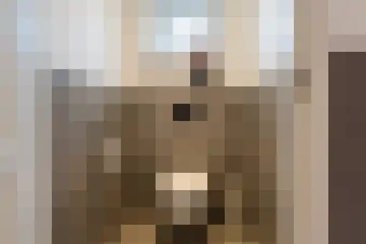 Jagerspad 4 Giessen thumbnail 18