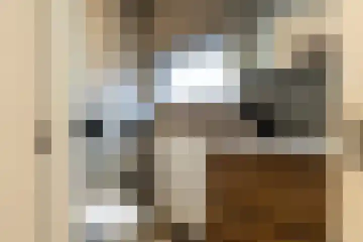 Jagerspad 4 Giessen thumbnail 29