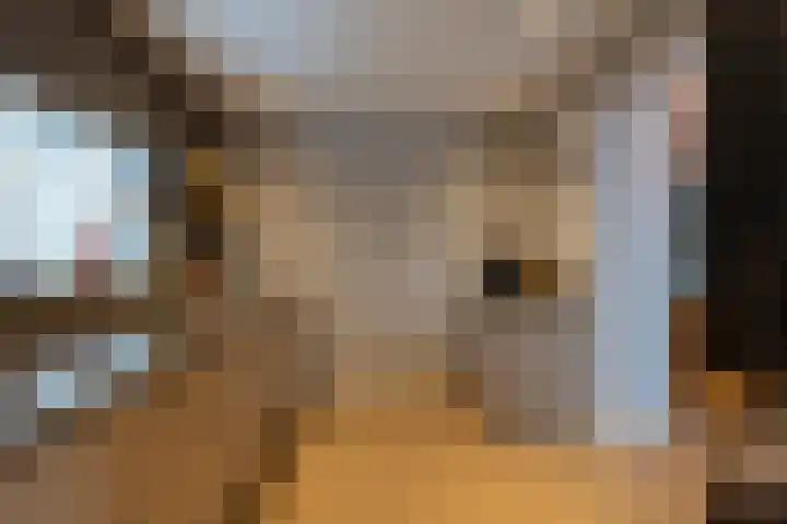 Jagerspad 4 Giessen foto 3