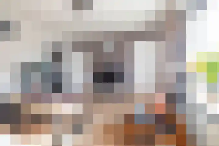 Jagerspad 5 Smilde thumbnail 11