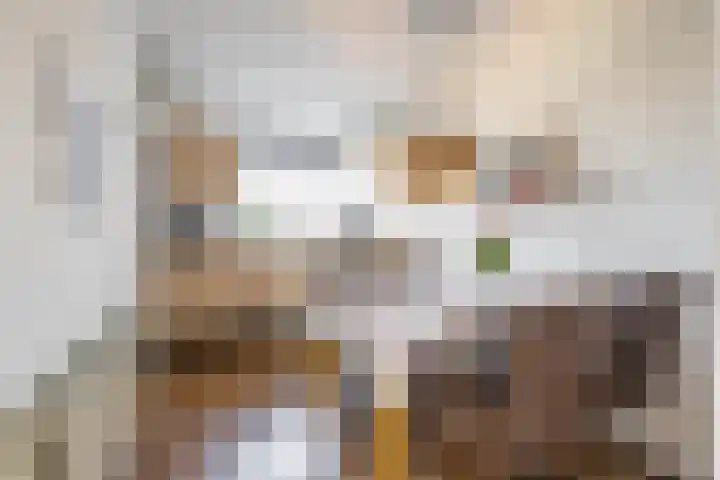 Jagerspad 5 Smilde thumbnail 12