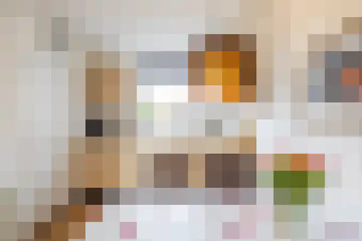 Jagerspad 5 Smilde thumbnail 13