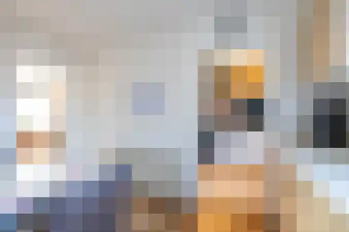 Jagerspad 5 Smilde thumbnail 16