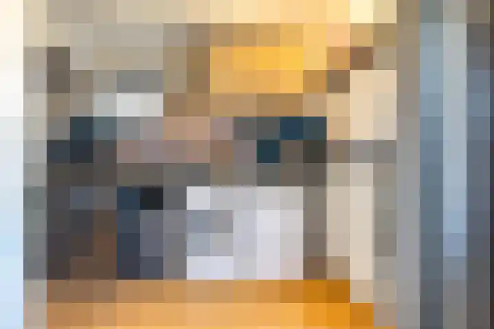 Jagerspad 5 Smilde thumbnail 17