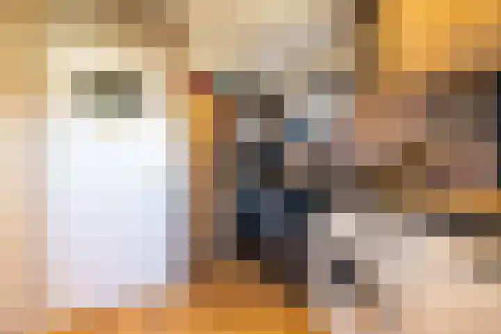 Jagerspad 5 Smilde thumbnail 18