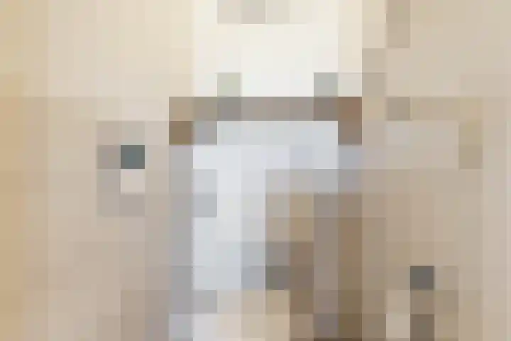 Jagerspad 5 Smilde thumbnail 19