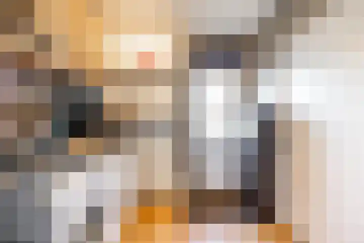 Jagerspad 5 Smilde thumbnail 20