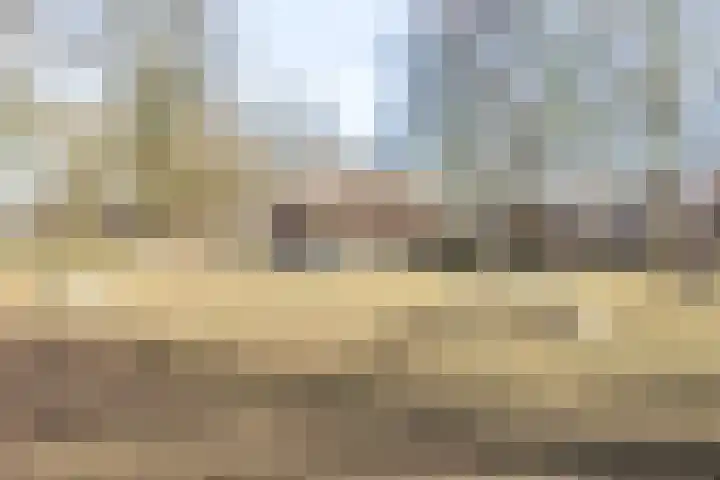 Jagerspad 5 Smilde foto 3