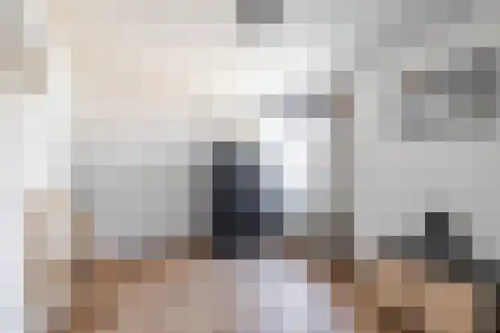 Jagerspad 5 Smilde thumbnail 35