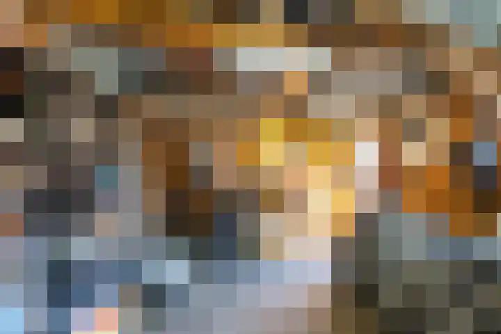 Jagerspad 5 Smilde thumbnail 50