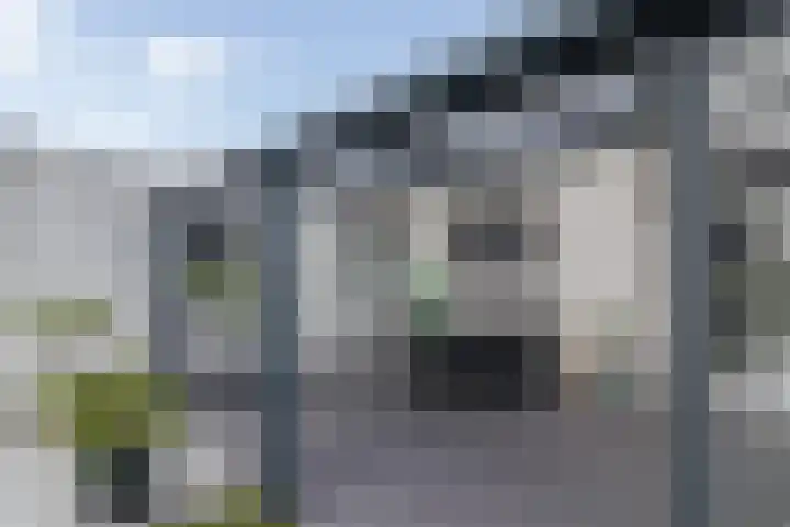 Jagerstraat 4 Herkenbosch thumbnail 34