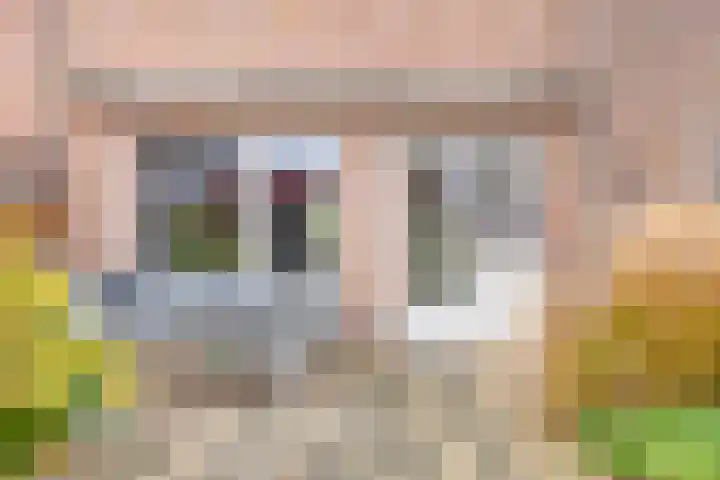 Jagersveld 63 Dongen thumbnail 29