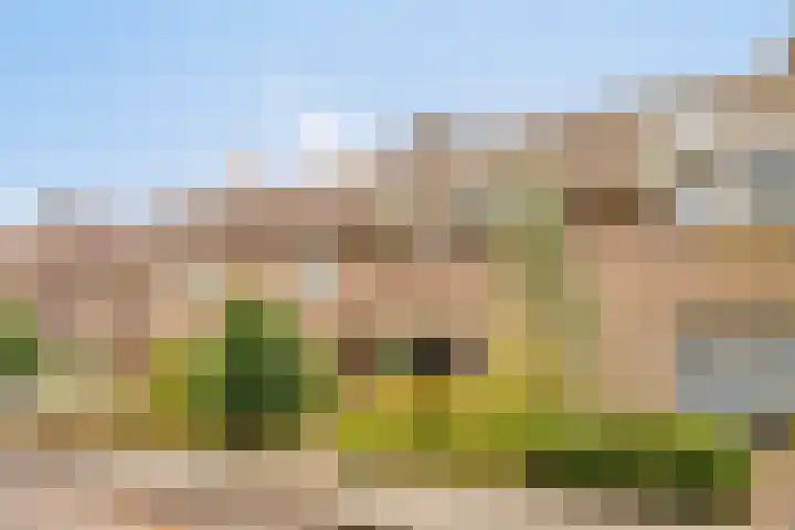 Jagersveld 63 Dongen thumbnail 7