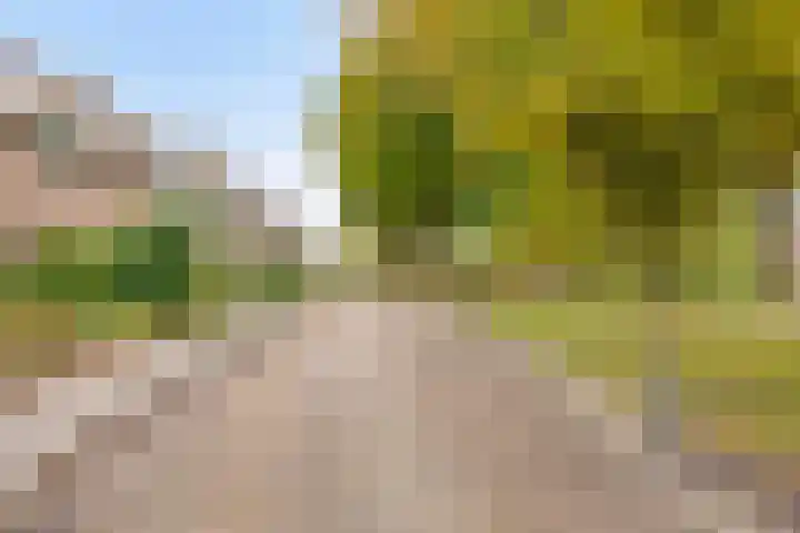 Jagersveld 63 Dongen thumbnail 8