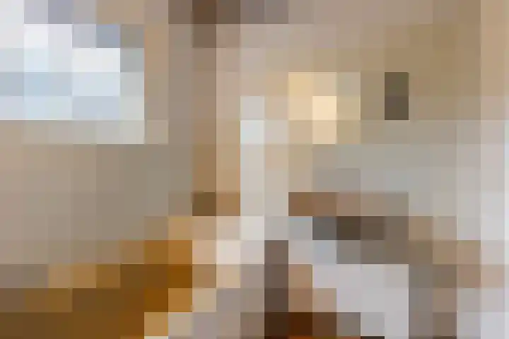 Jagersweg 36 Apeldoorn thumbnail 18