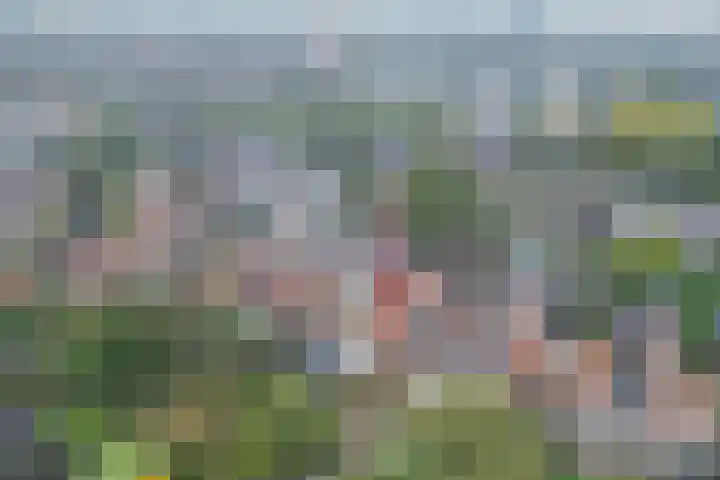 Jagersweg 36 Apeldoorn thumbnail 33