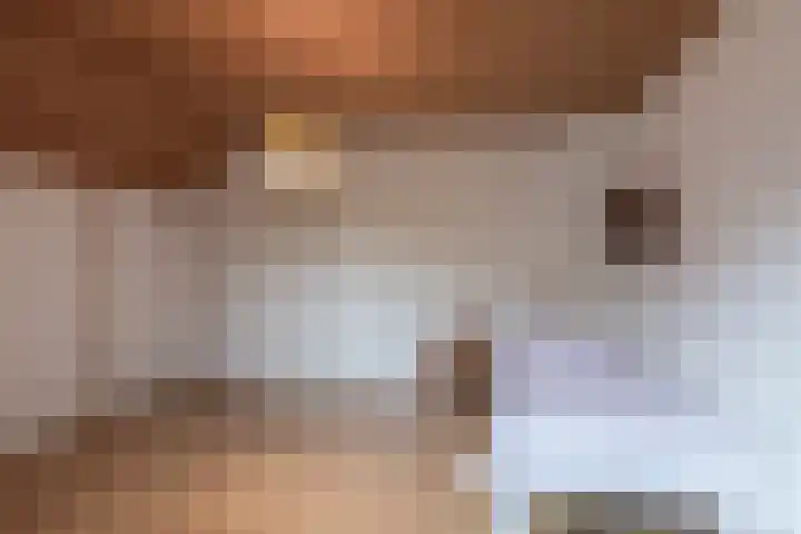 Jagerwei 9 Valkenswaard thumbnail 27