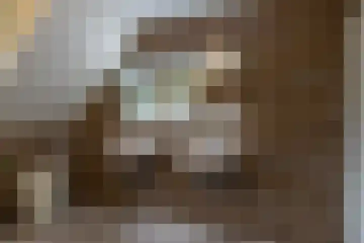Jagerwei 9 Valkenswaard thumbnail 34