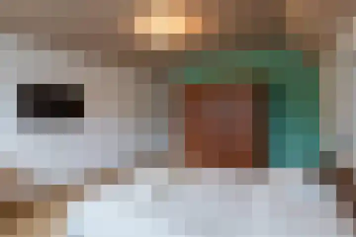 Jagerwei 9 Valkenswaard thumbnail 37