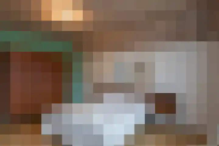 Jagerwei 9 Valkenswaard thumbnail 38