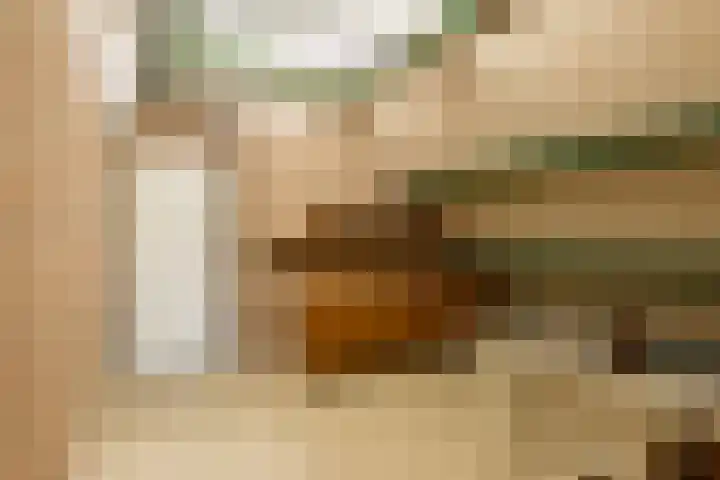Jagerwei 9 Valkenswaard thumbnail 39