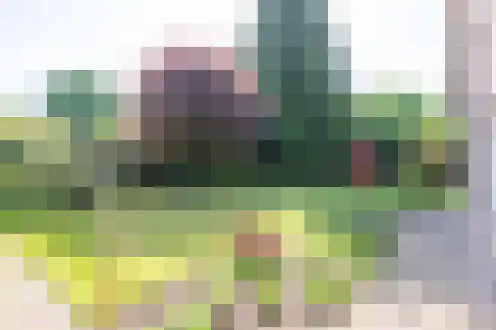 Jagerwei 9 Valkenswaard thumbnail 46