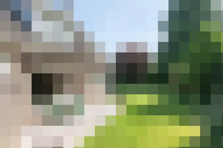 Jagerwei 9 Valkenswaard thumbnail 5