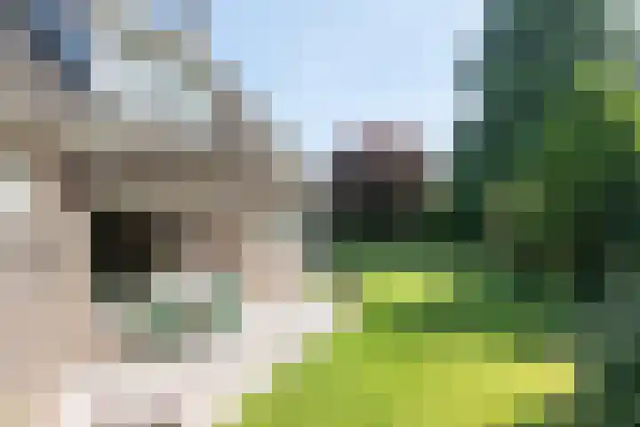 Jagerwei 9 Valkenswaard thumbnail 50