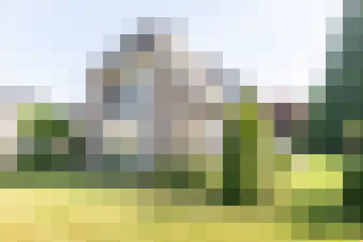 Jagerwei 9 Valkenswaard thumbnail 51