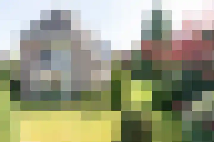 Jagerwei 9 Valkenswaard thumbnail 52