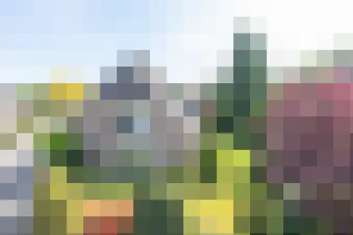Jagerwei 9 Valkenswaard thumbnail 53