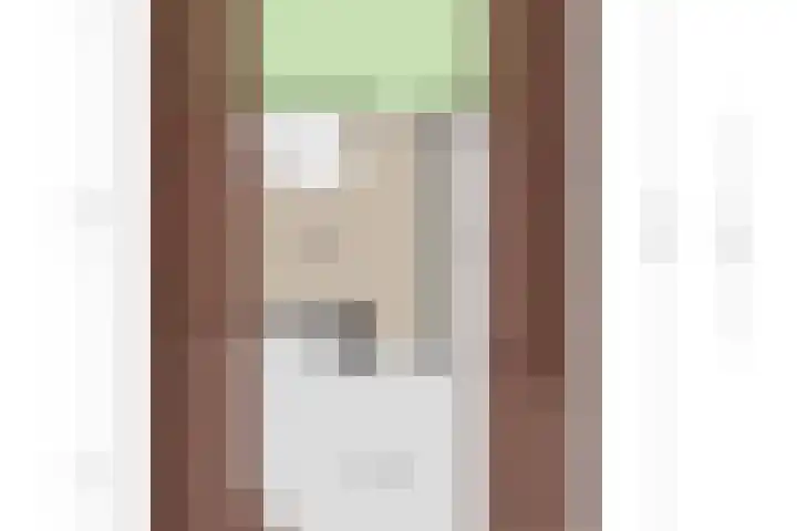 Jagerwei 9 Valkenswaard thumbnail 59